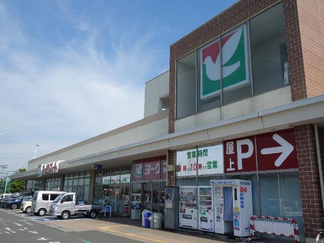 ビレッジ高坪 ヨークマート南毛利店まで921ｍ