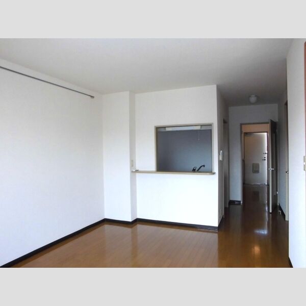 リブラ川崎302号室 部屋その他