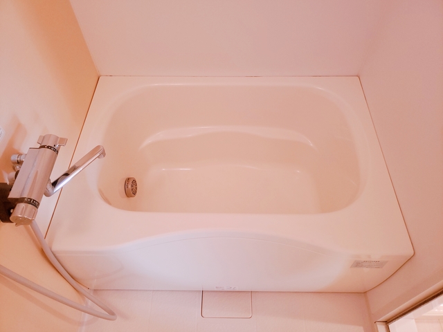 ＬＭフラット0202号室 お風呂