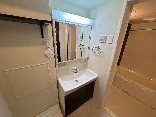 ベルコリーヌ八代202号室 洗髪洗面化粧台（イメージ）