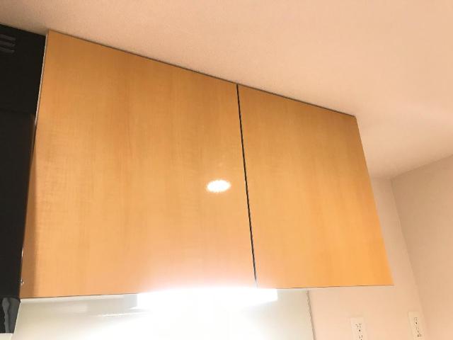 グランツハイト501号室 上部収納