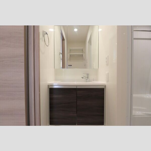 セレスティア弥生町 洗面所