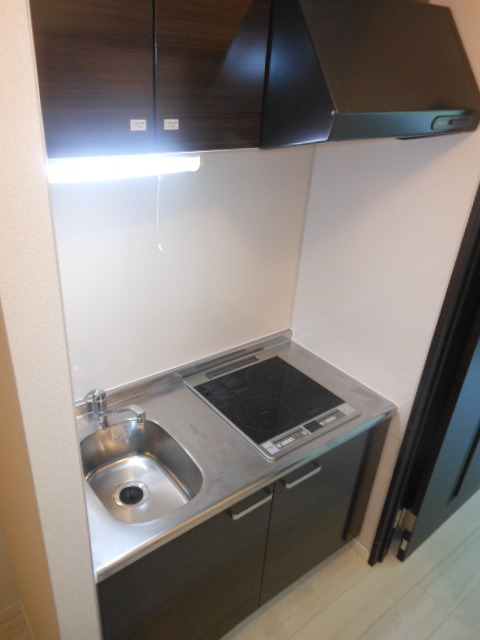 ル・エスト・フォンテーヌ ＩＨ2口システムキッチン