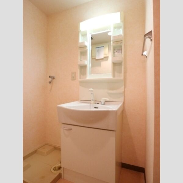 アルバ南柏506号室 洗髪洗面化粧台