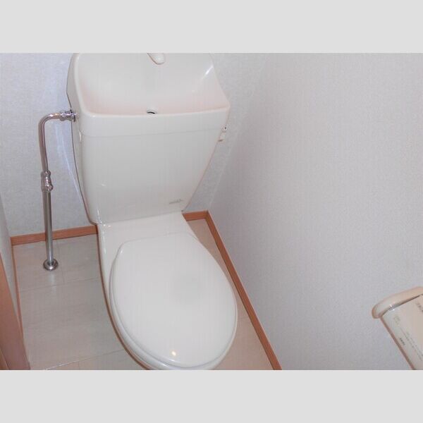 プチパラダイス トイレ