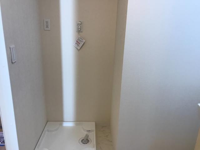 ｇｒｅｅｎ ｍａｉｓｏｎ(グリーンメゾン)105号室 洗濯機置場