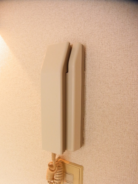 メゾンＭＫ0102号室 セキュリティ