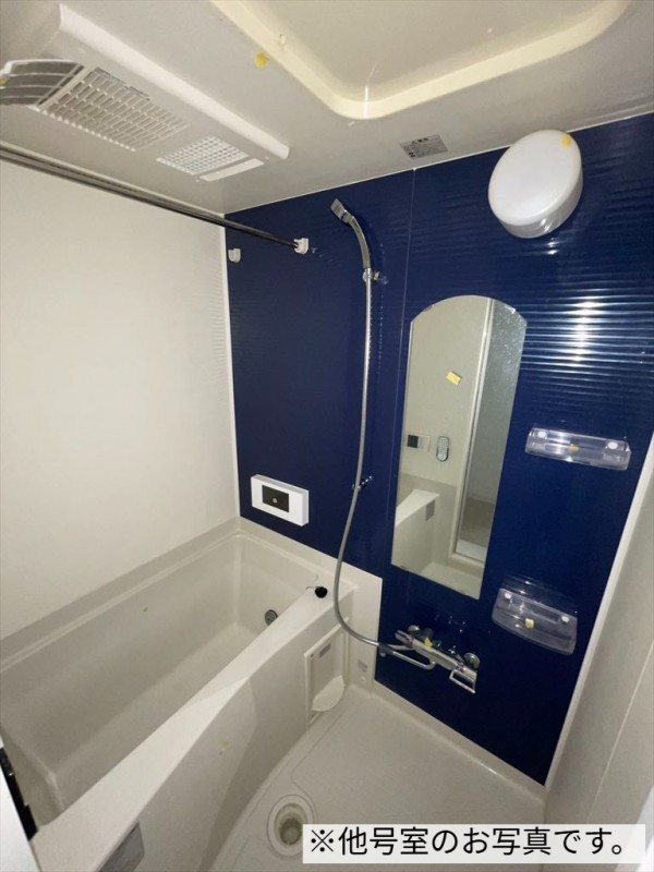 Ｌａ　Ｐｒｏｖｅｎｃｅ　ｄｕ　ＧＯＴＡＮＮＯ　弐号館1階 お風呂