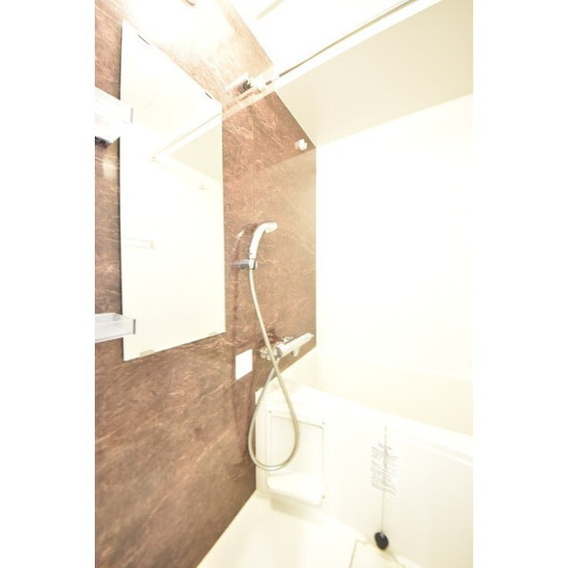 Court Blanche0513号室 内観