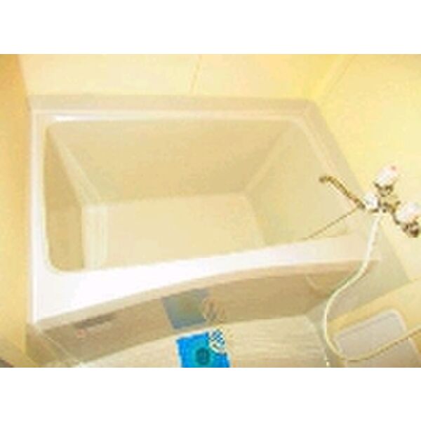 エメラルダス0206号室 お風呂