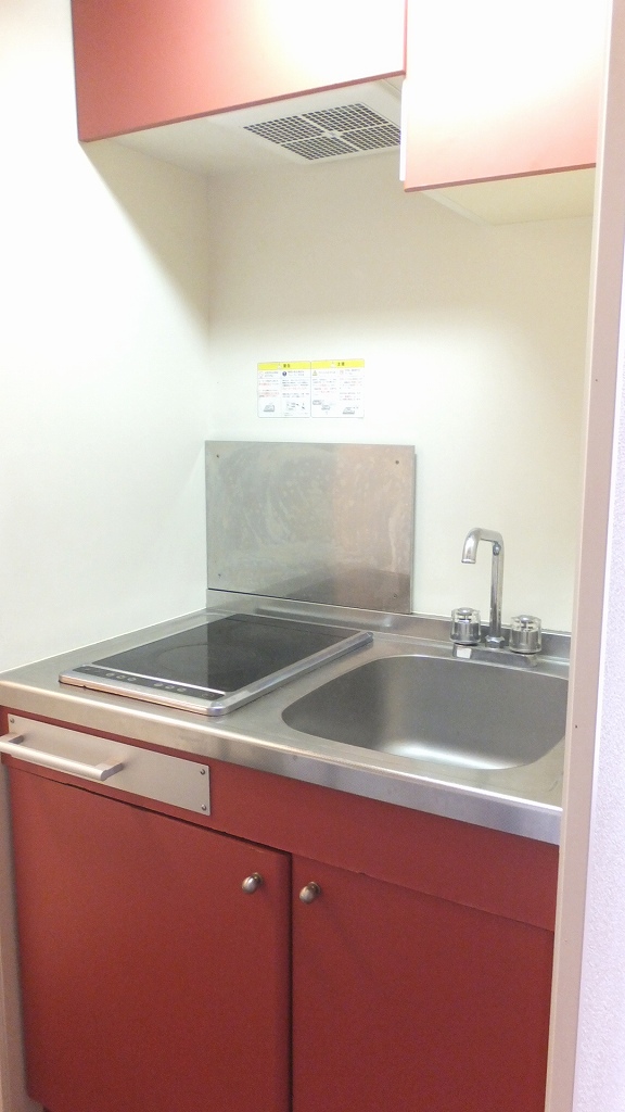 レオパレスファースト202号室 ロフト