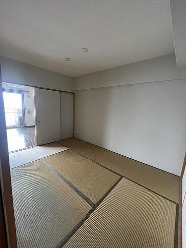 ライオンズマンション大宮高鼻町11階 和室　清掃前