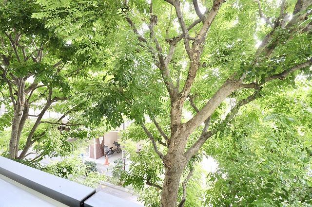 六本木デュープレックスエムズ2階 眺望