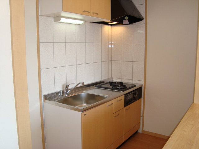 アメニティ　ヒルズ203号室 キッチン