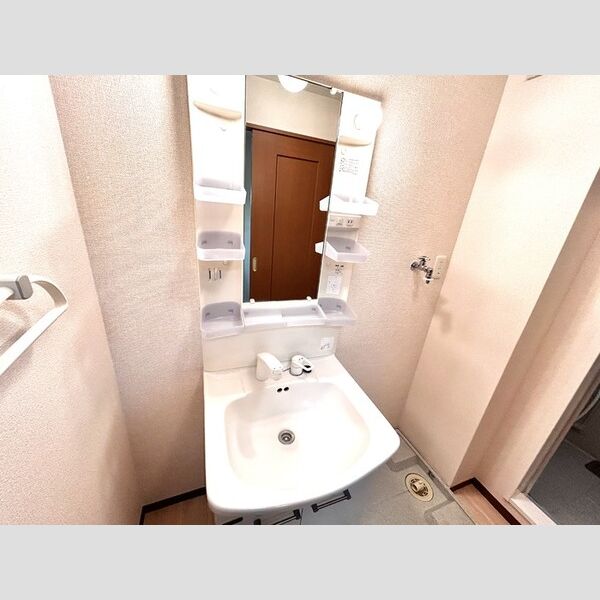 スマートFⅡ205号室 洗面所