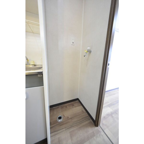 ヒルズガーデン東雪谷0203号室 洗濯機置場