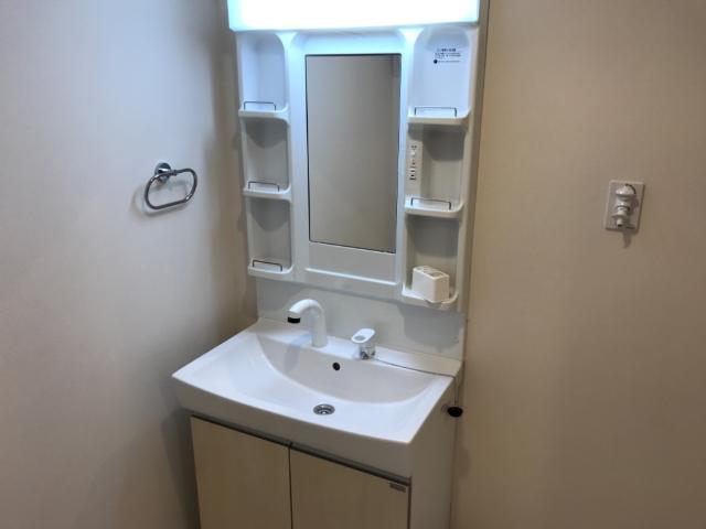 メゾンアイリス202号室 洗面