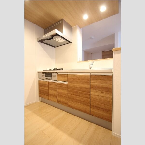 アンジュール栗原203号室 システムキッチン