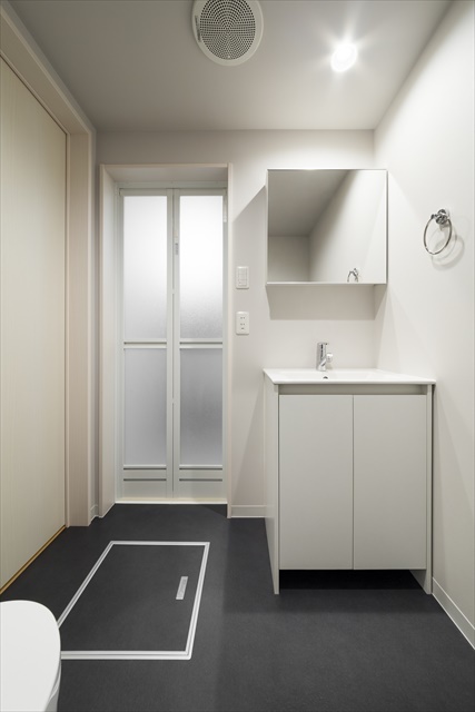 Ｒｙｄｅ シャンプードレッサー