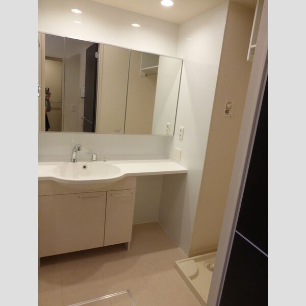 アグスター308号室 洗面室