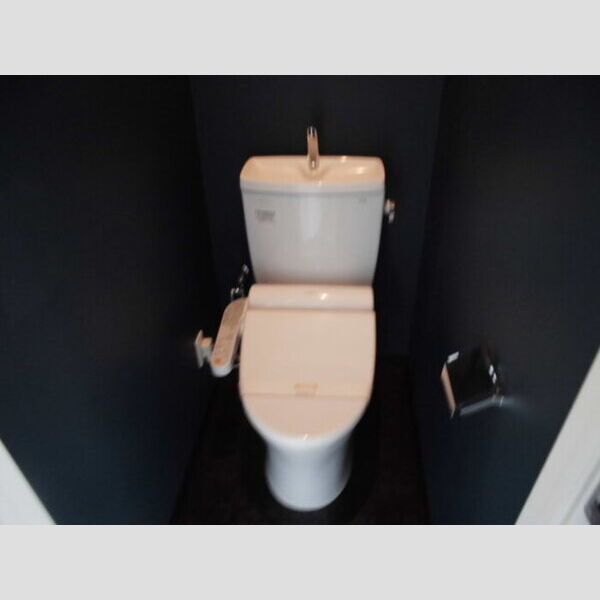 TRINITY11号室 11　トイレ