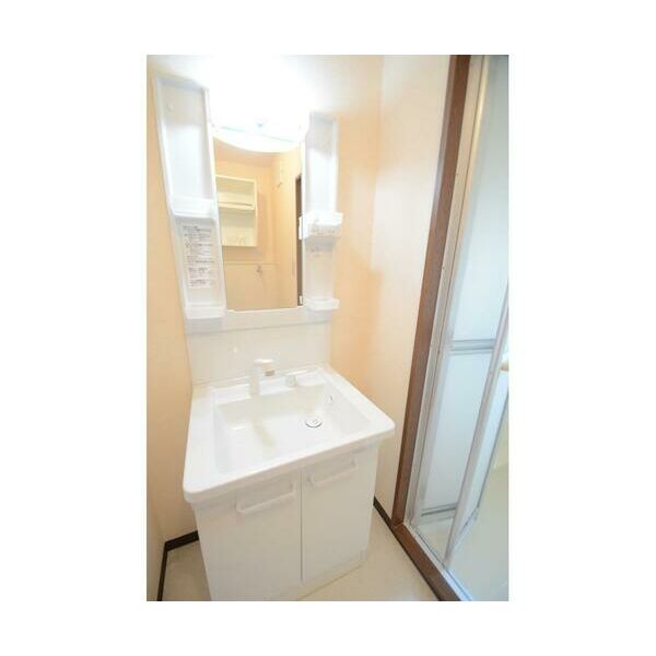 コートビレッジ辻堂203号室 洗面