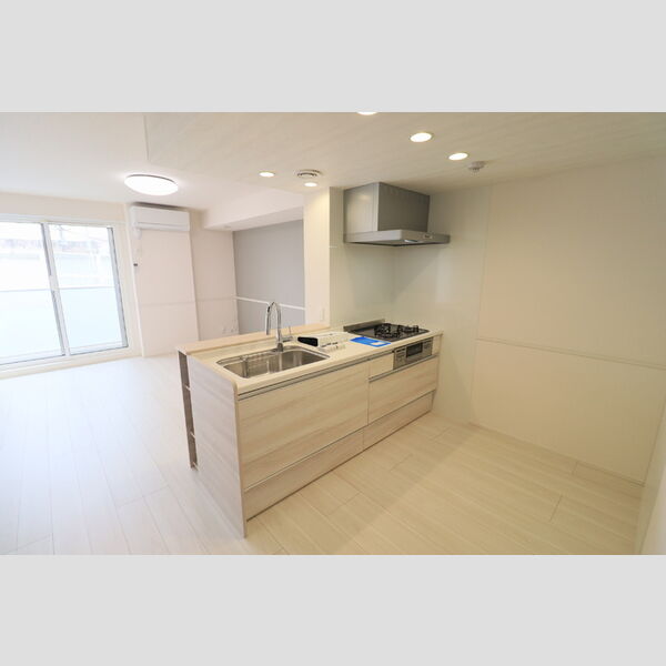 D Paina Egawa Ⅰ201号室 キッチン