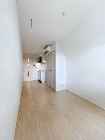 スカイコートリュクス品川大崎401号室 リビング