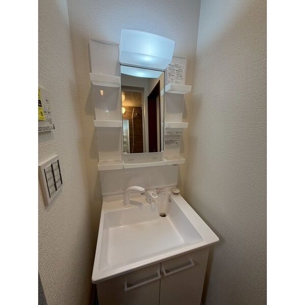 ベレガンス流山松ヶ丘Ⅱ0201号室 洗面