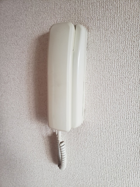 ハイツ五月0201号室 セキュリティ