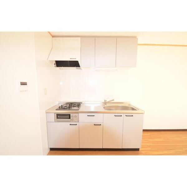 グリーンリバー駒井2号棟 キッチン