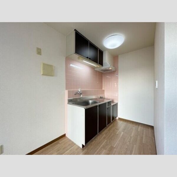 第5フェニックス キッチン