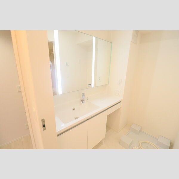 D Paina 中野島Ⅱ306号室 洗髪洗面化粧台