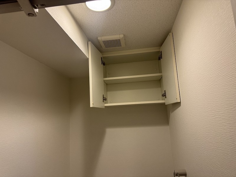 Ｄａｉｗａ　Ｔｅｒｒａｃｅ　府中3階 トイレ