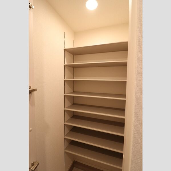 ムーンダスト美園105号室 シューズボックス