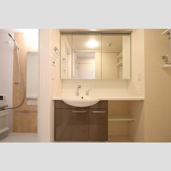 D-room Flower 洗髪洗面化粧台