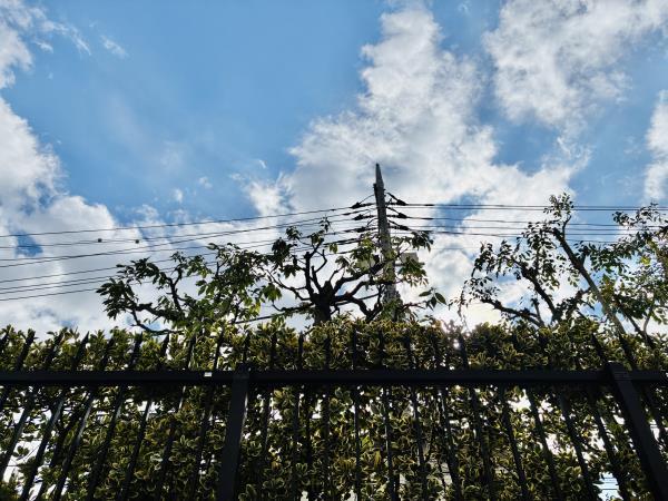 Ｂｒｉｌｌｉａ品川中延1階 部屋その他