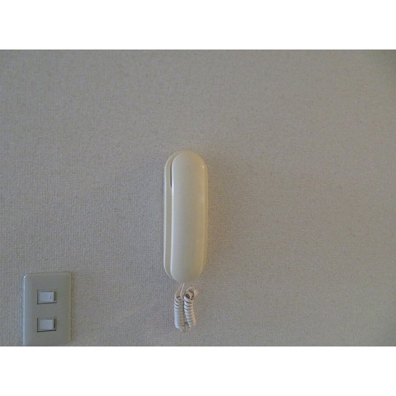 casa de rosa（旧レジデンス田中）0102号室 インターホン