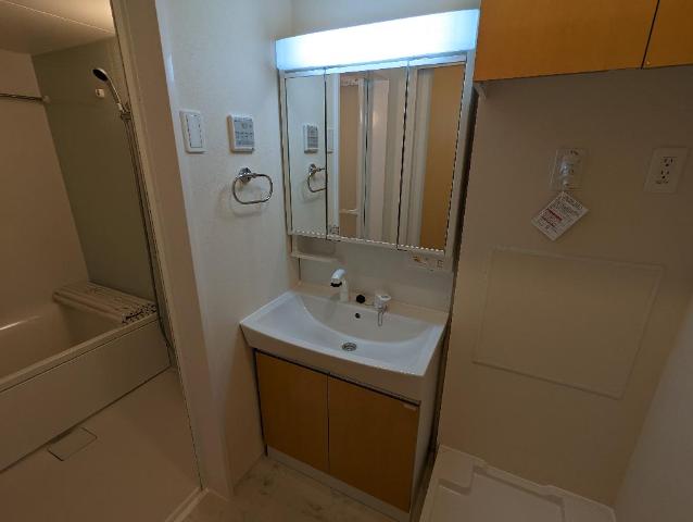 エールスト 洗髪洗面化粧台