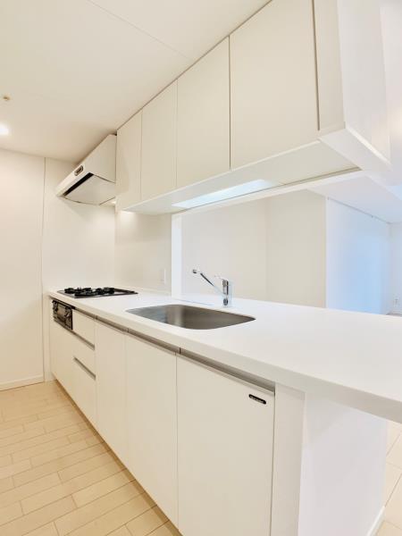 Ｂｒｉｌｌｉａ　ｉｓｔ　東雲キャナルコート4階 キッチン