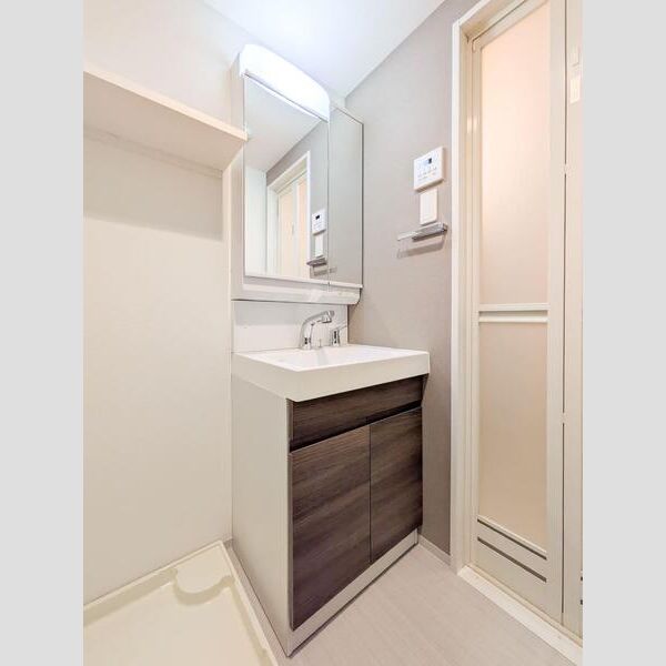 S-RESIDENCE横濱吉野町burgeon402号室 洗面