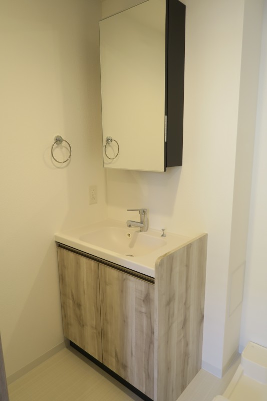 THE PALMS錦糸町11階 洗面