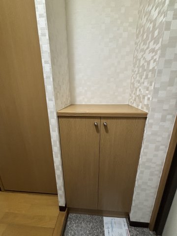 ガイア0503号室 玄関