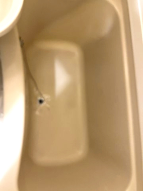 トップ横浜上永谷302号室 お風呂