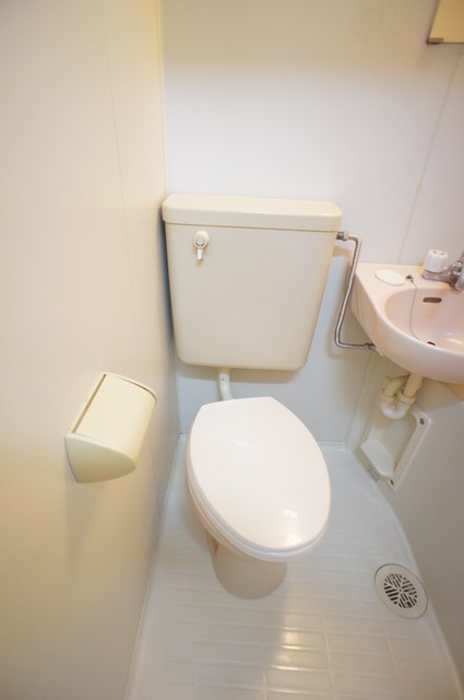 ブロードフラット0307号室 トイレ