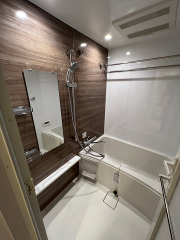 DIPS上野NORTH1102号室 お風呂