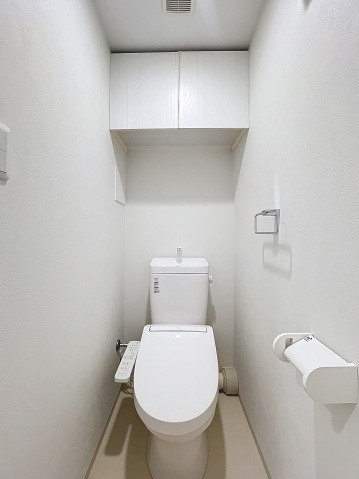 スカイコートリュクス品川大崎401号室 トイレ