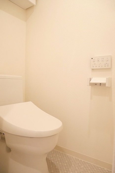 ラフィスタ鷺沼（南棟） 内観