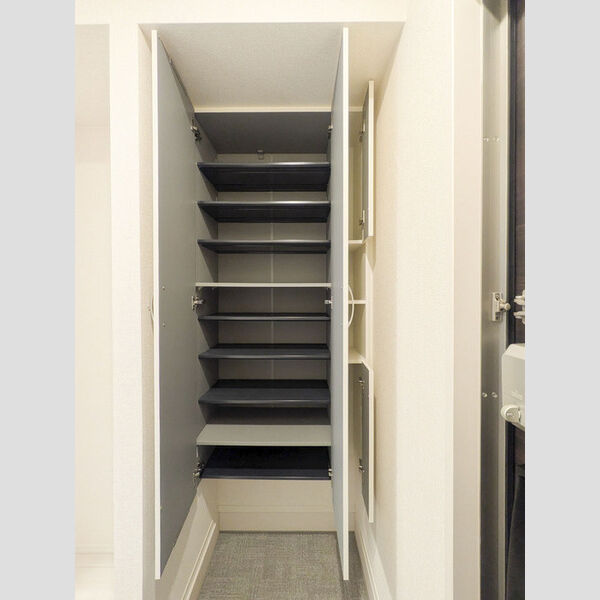 コスモス102号室 玄関