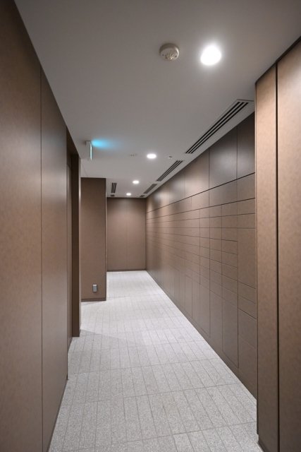 パークタワー勝どきサウス50階 その他共有部分